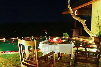 Gayatri ウブド